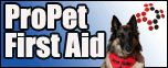 First Aid & CPR for small and large pets